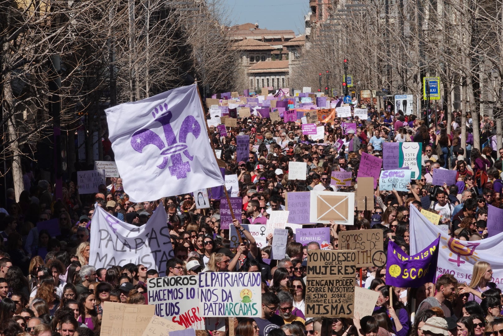 Repaso completo en imágenes a una marcha multitudinaria este Día de la Mujer en Granada