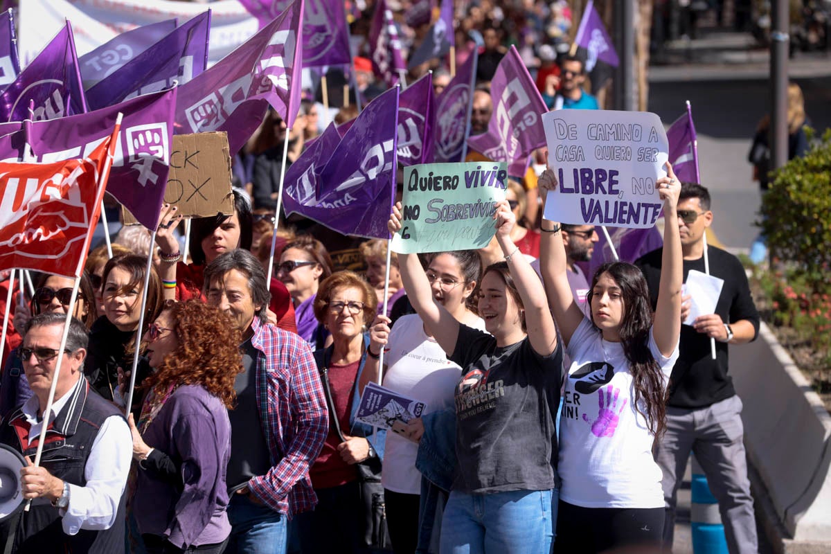 Cientos de carteles y pancartas reivindicativas en la manifestación de este domingo