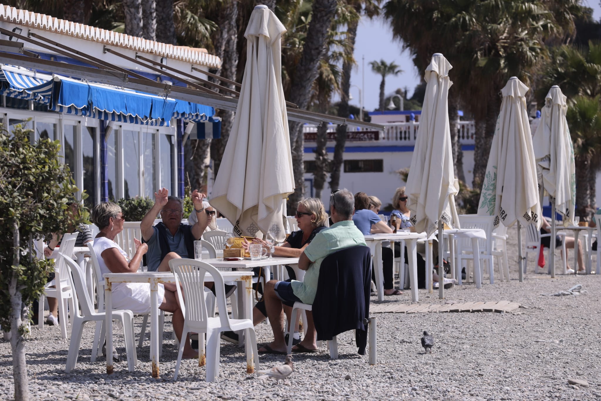 Fotos: Gente en los chiringuitos de la Costa de Granada pese al cierre de playas