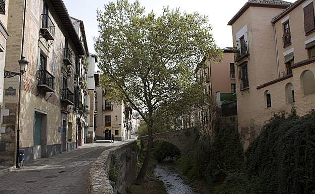 Imagen principal - Carrera del Darro, ratas en el río, a la altura del Puente de Espnosa y vistas del Paseo de los Tristes desde la Cuesta del Chapiz. 