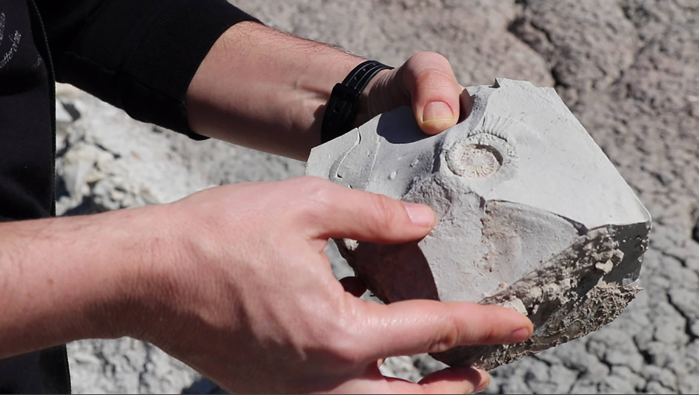 Afloramiento marino en la zona de La Cerradura, en el término de Pegalajar. 