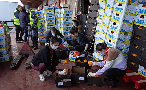 Imagen principal - Intensa jornada de trabajo en el centro de distribución del Banco de Alimentos en MercaGranada.