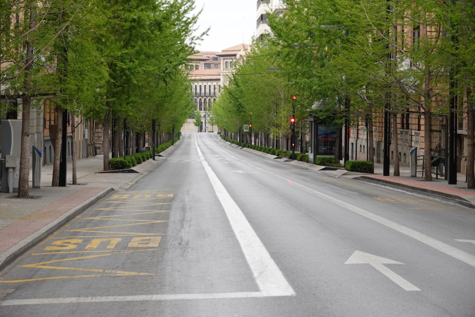 Dentro de la cuarentena, Granada sigue viviendo su Semana Santa más inusual