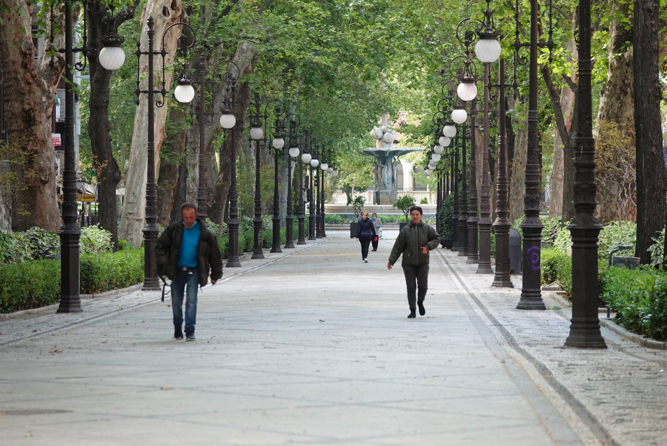 El confinamiento por el estado de alarma deja las calles de Granada absolutamente vacías una en una jornada de tradicional bullicio que se habría visto reforzada por el tiempo despejado