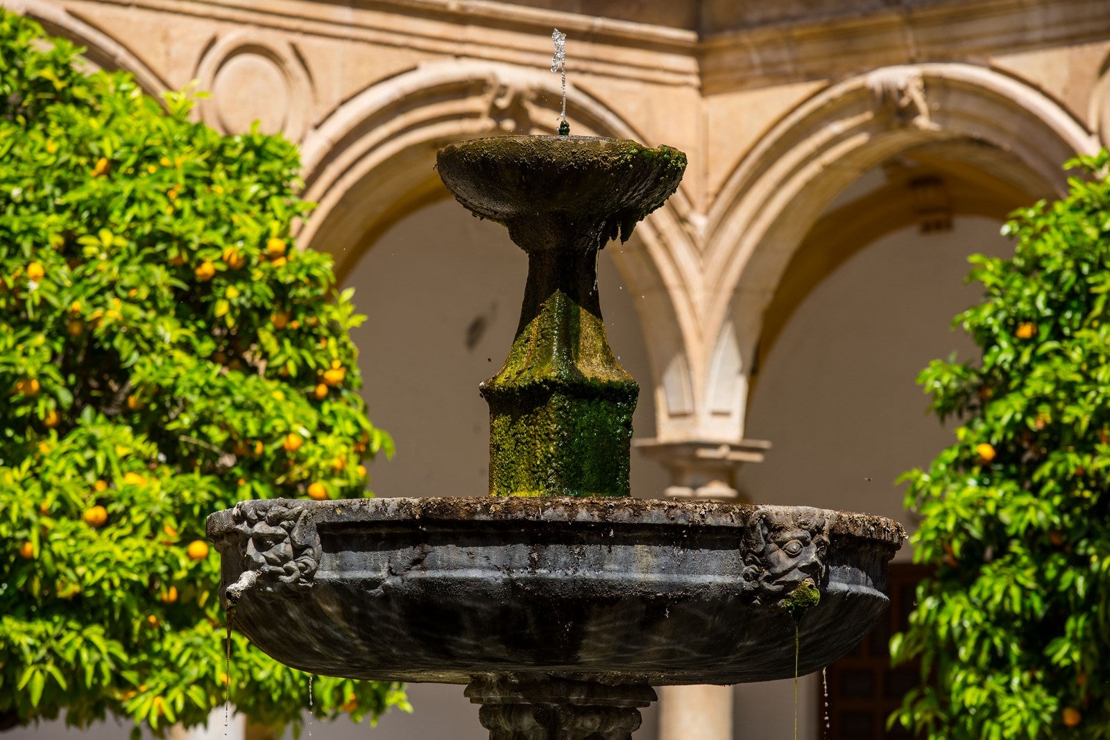 Abadía del Sacromonte. La antigua abadía, del siglo XVII, es otra pieza monumental cerrada al público por el coronavirus