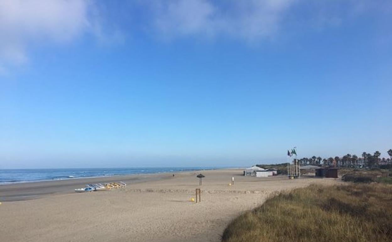 Vacaciones con Covid-19 | Así se preparan las playas limpias de coronavirus para una posible apertura