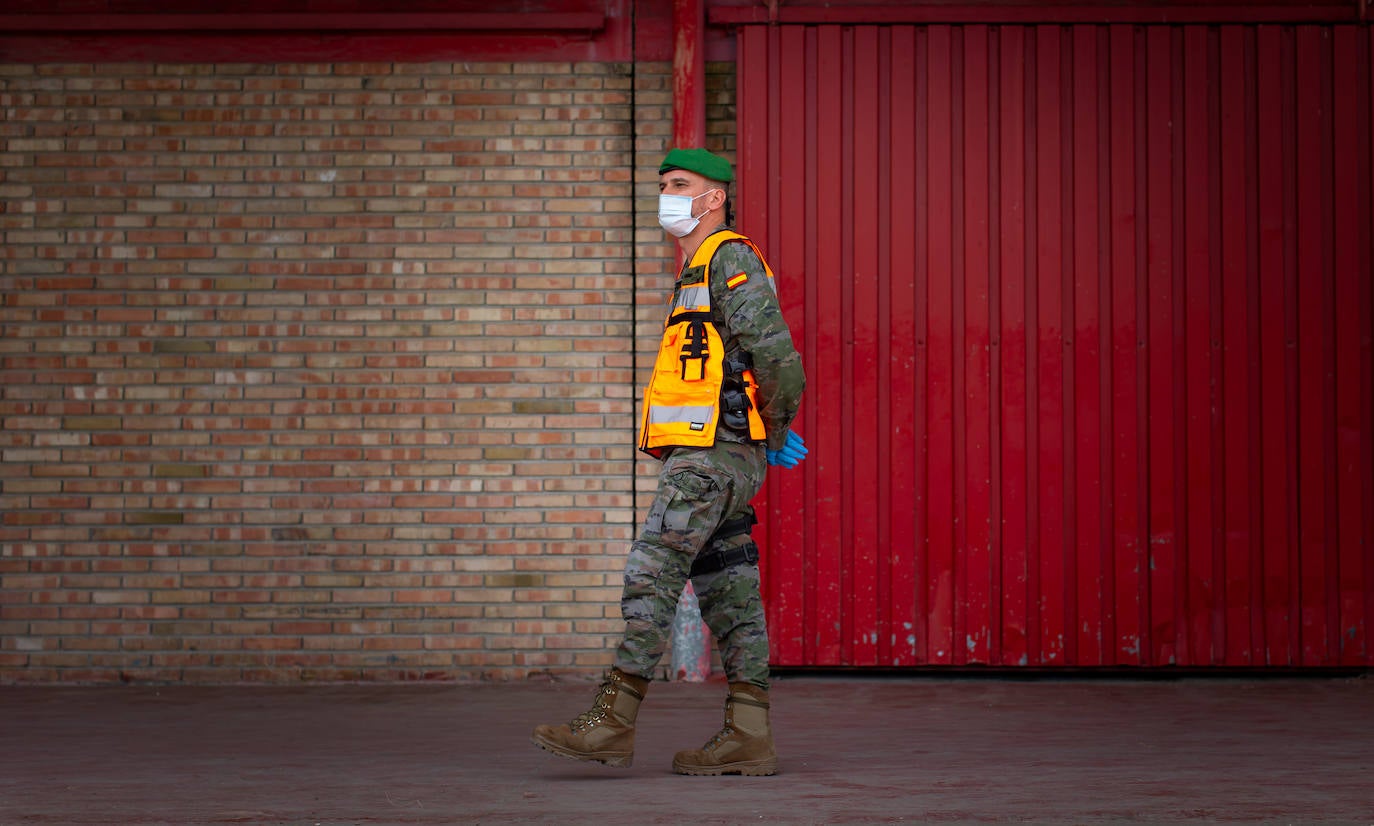 La Brigada Logística es una unidad del Ejército de Tierra que, en base a las seis agrupaciones con que cuenta, está apoyando, en la Operación Balmis