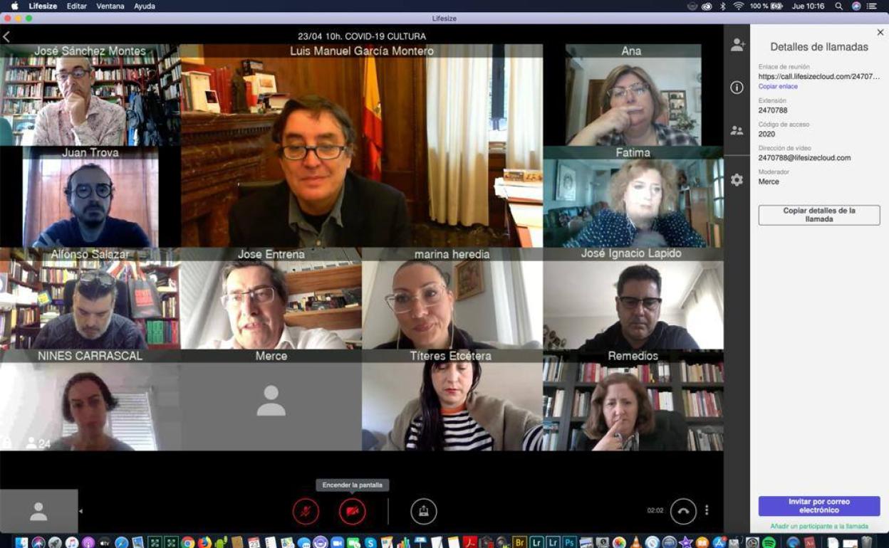 Un momento de la reunión virtual celebrada en la mañana de ayer.