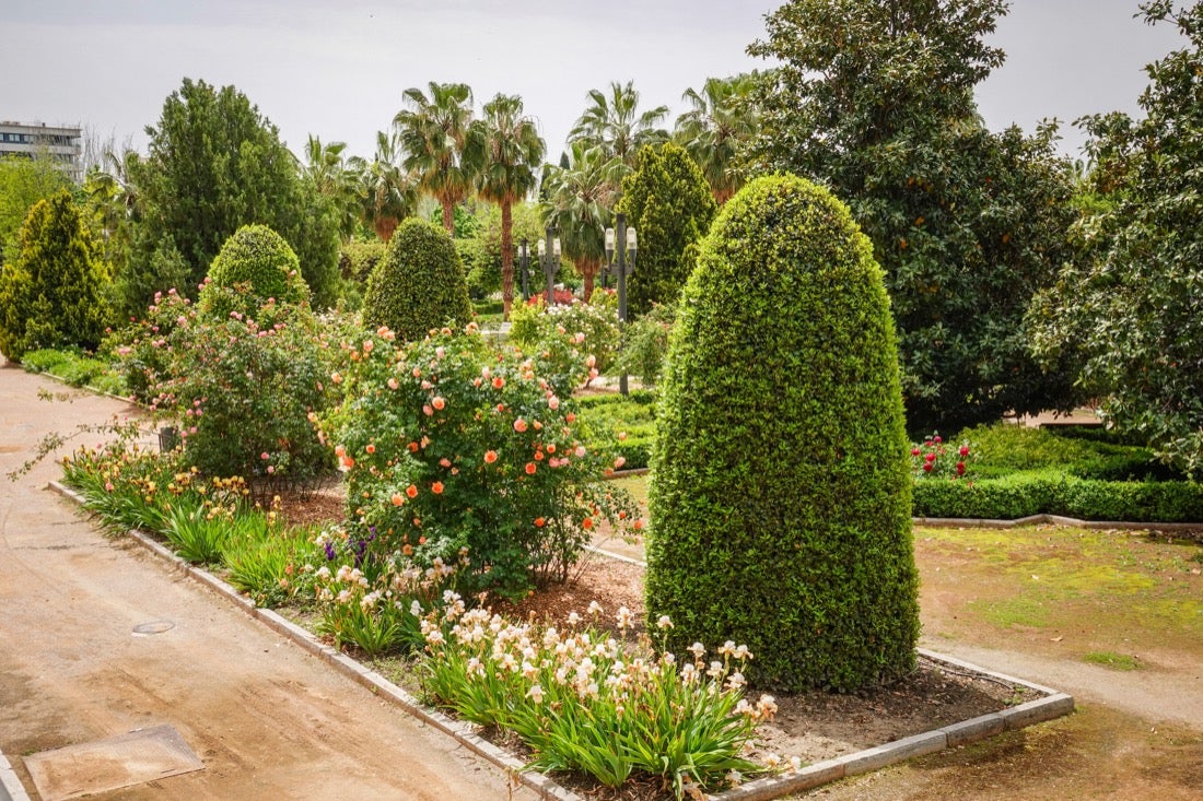 Las flores comienzan a abrirse camino en el Parque García Lorca sin visitantes que puedan disfrutar de ellas por el confinamiento