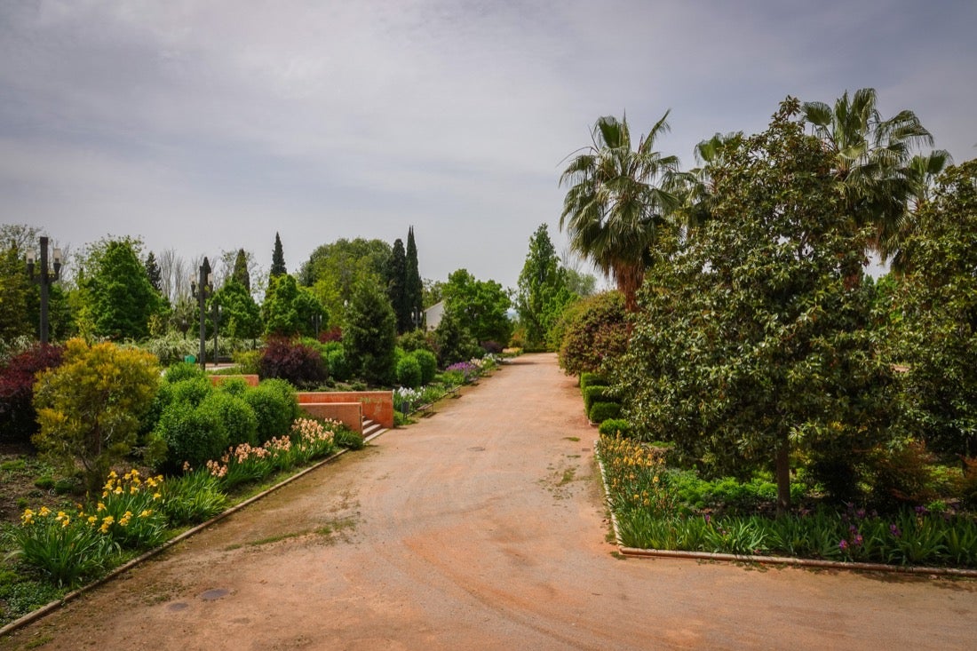 Las flores comienzan a abrirse camino en el Parque García Lorca sin visitantes que puedan disfrutar de ellas por el confinamiento