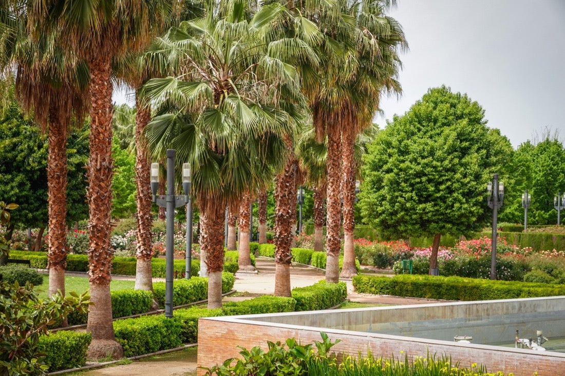 Las flores comienzan a abrirse camino en el Parque García Lorca sin visitantes que puedan disfrutar de ellas por el confinamiento