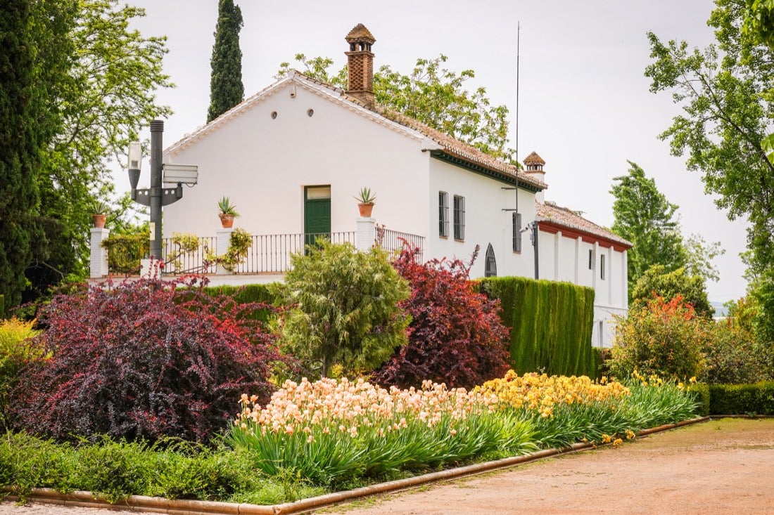 Las flores comienzan a abrirse camino en el Parque García Lorca sin visitantes que puedan disfrutar de ellas por el confinamiento