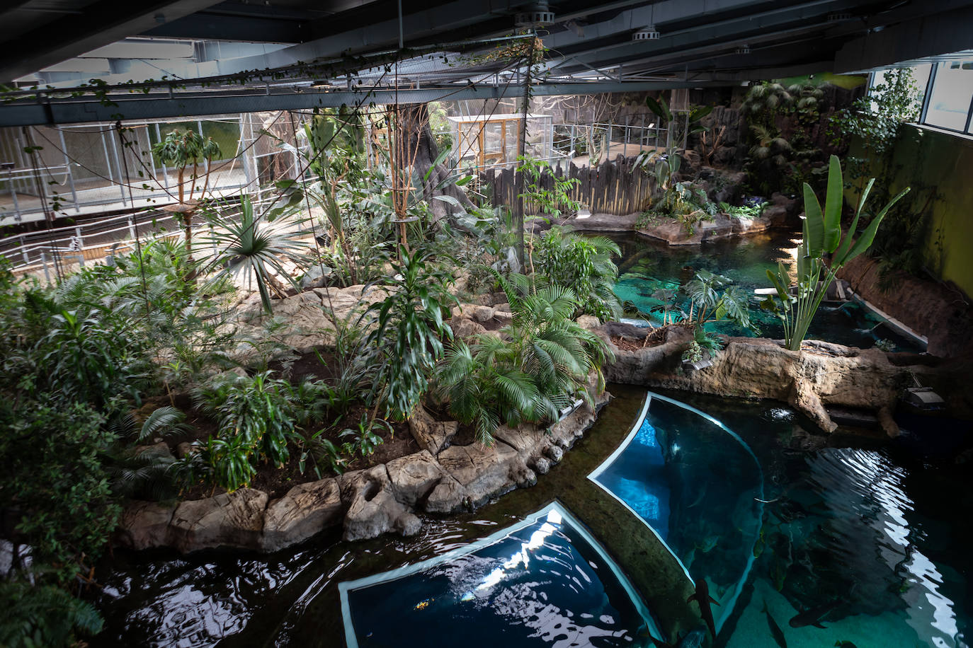 Panorámica general del Biodomo en cuarentena.