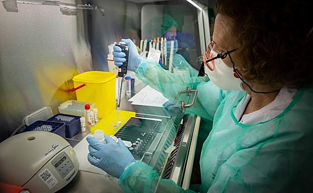 Imagen principal - Desde el laboratorio de microbiología del PTS se da servicio a toda la zona sur de la capital y de la provincia de Granada