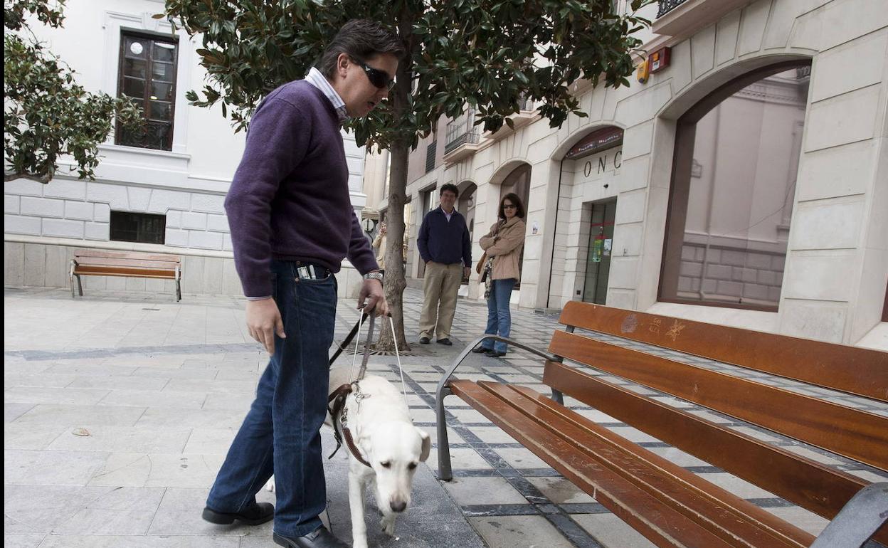 Los perros guía permiten a 21 personas ciegas de Granada seguir siendo autónomas durante el confinamiento