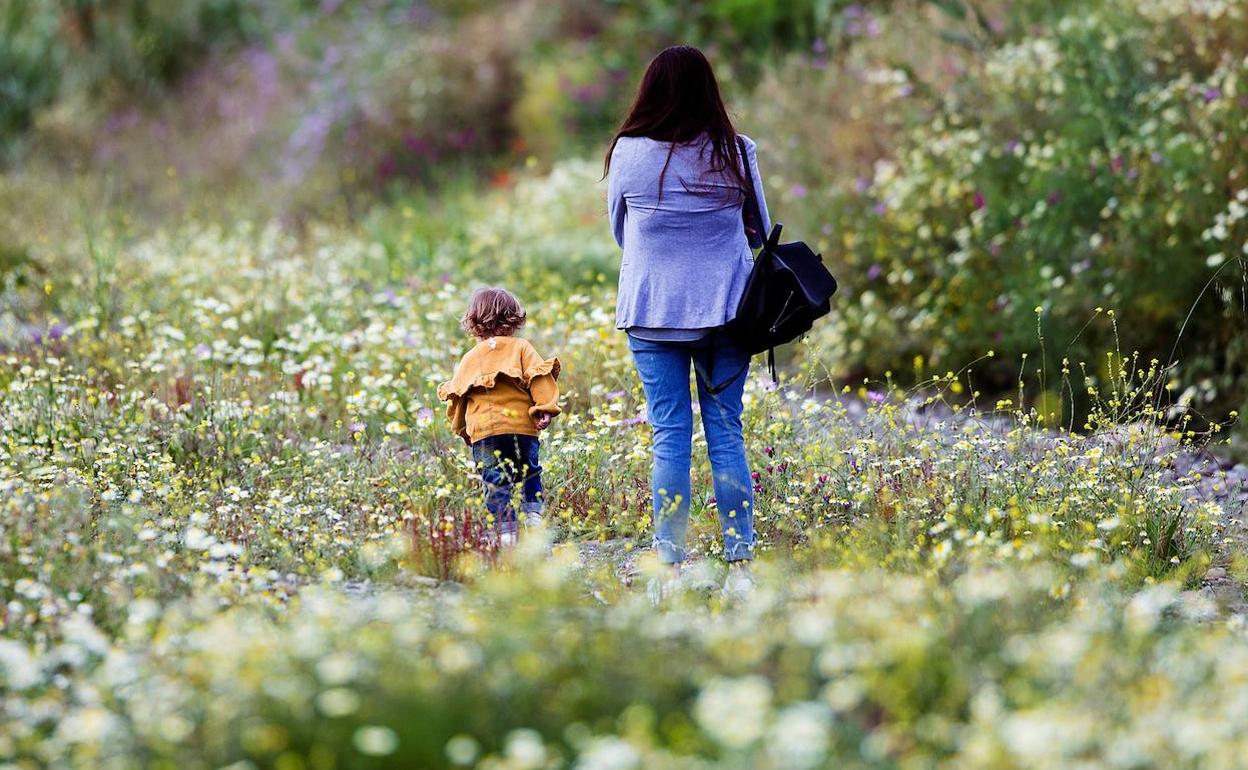 El horario para la salida de los niños se reduce cinco horas a partir del sábado