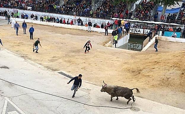 Los populares 'toros ensogaos' de Beas de Segura deberían haberse celebrado hace pocos días. 