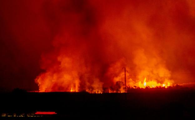 Los Bomberos sofocan un incendio de cañaveral cerca de Playa Granada