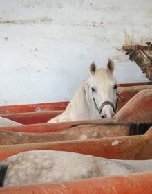 Imagen secundaria 2 - Una jornada de trabajo en la granja escuela.