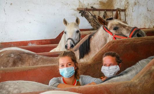 Anthea y Luzi en las caballerías.