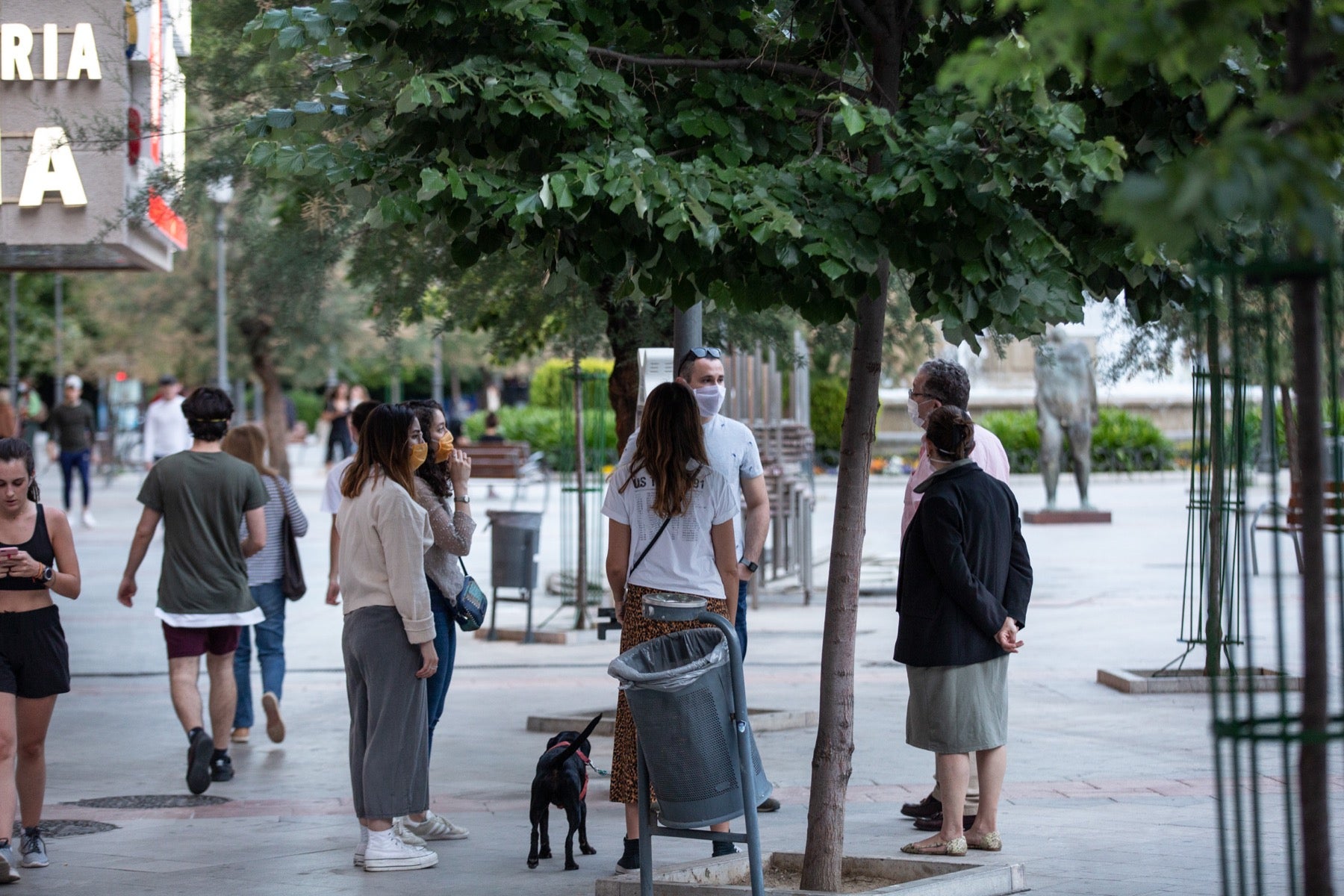 Una importante cantidad de granadinos toma los parques para caminar y hacer deporte