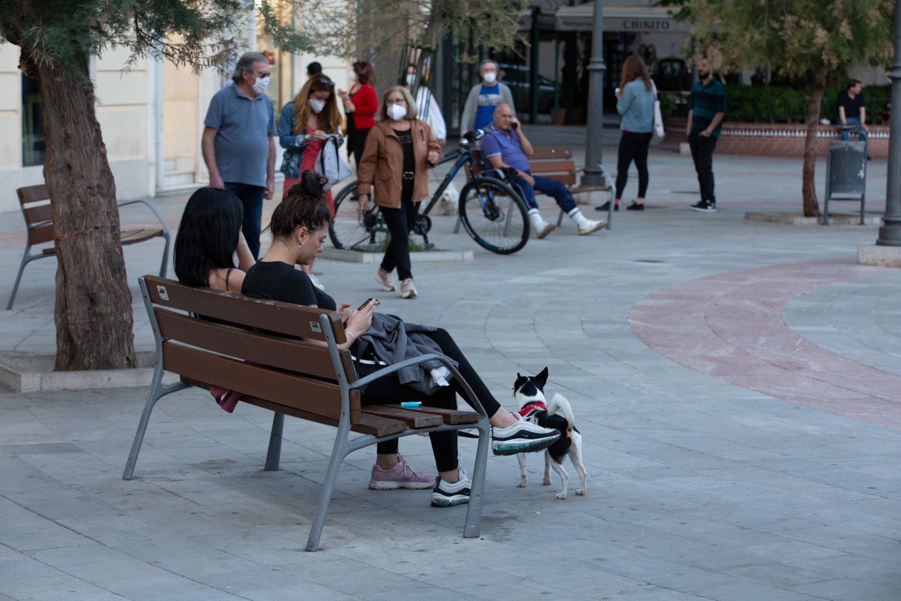 Una importante cantidad de granadinos toma los parques para caminar y hacer deporte