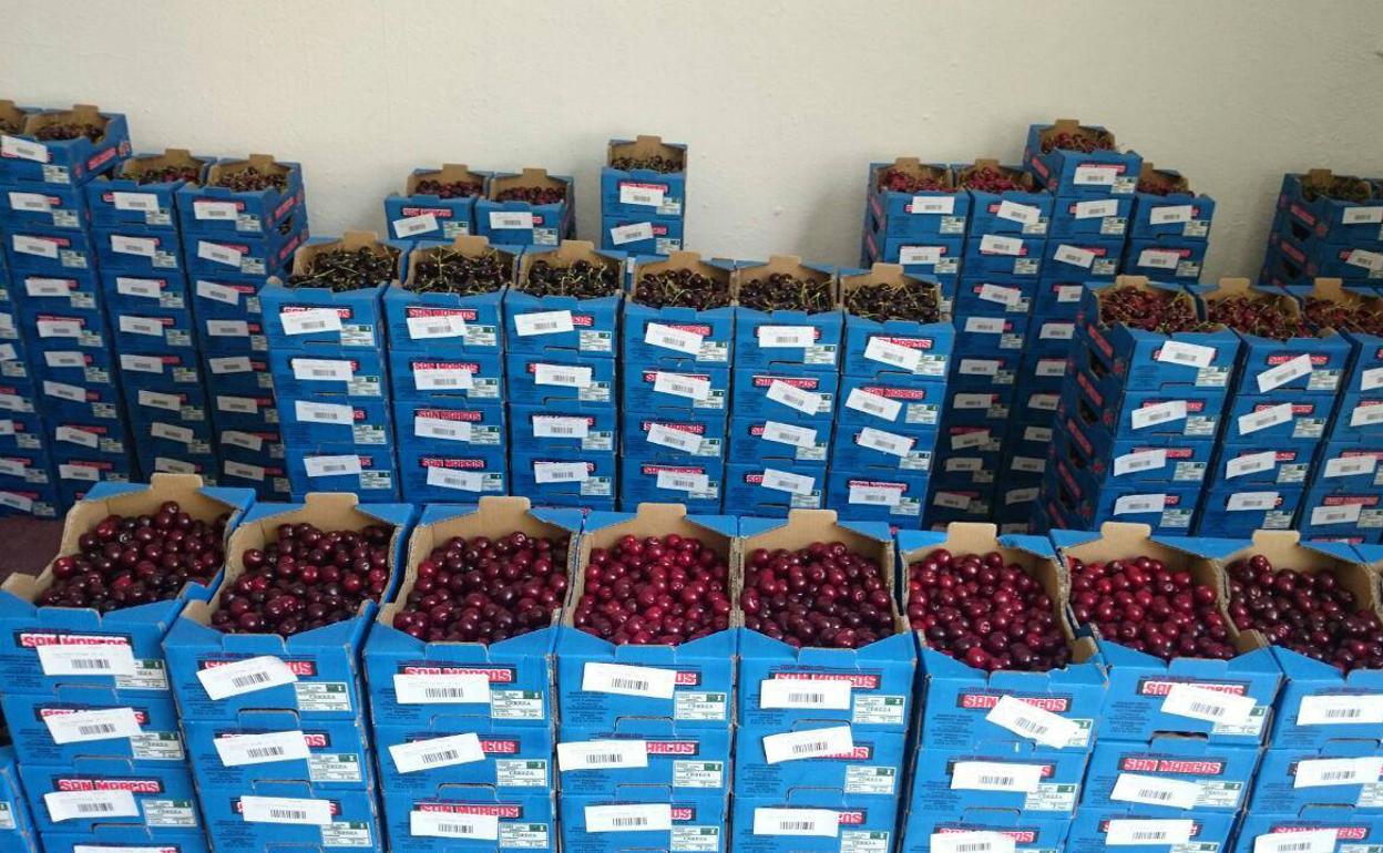 Cerezas de Torres listas para la venta en una imagen del año pasado.