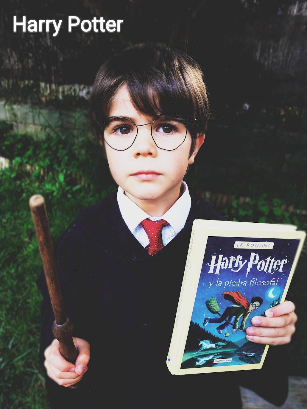 Harry Potter 