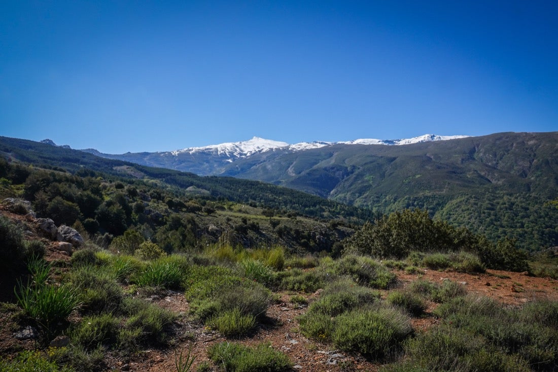 Inusuales mágenes de la estación en pleno estado de alarma