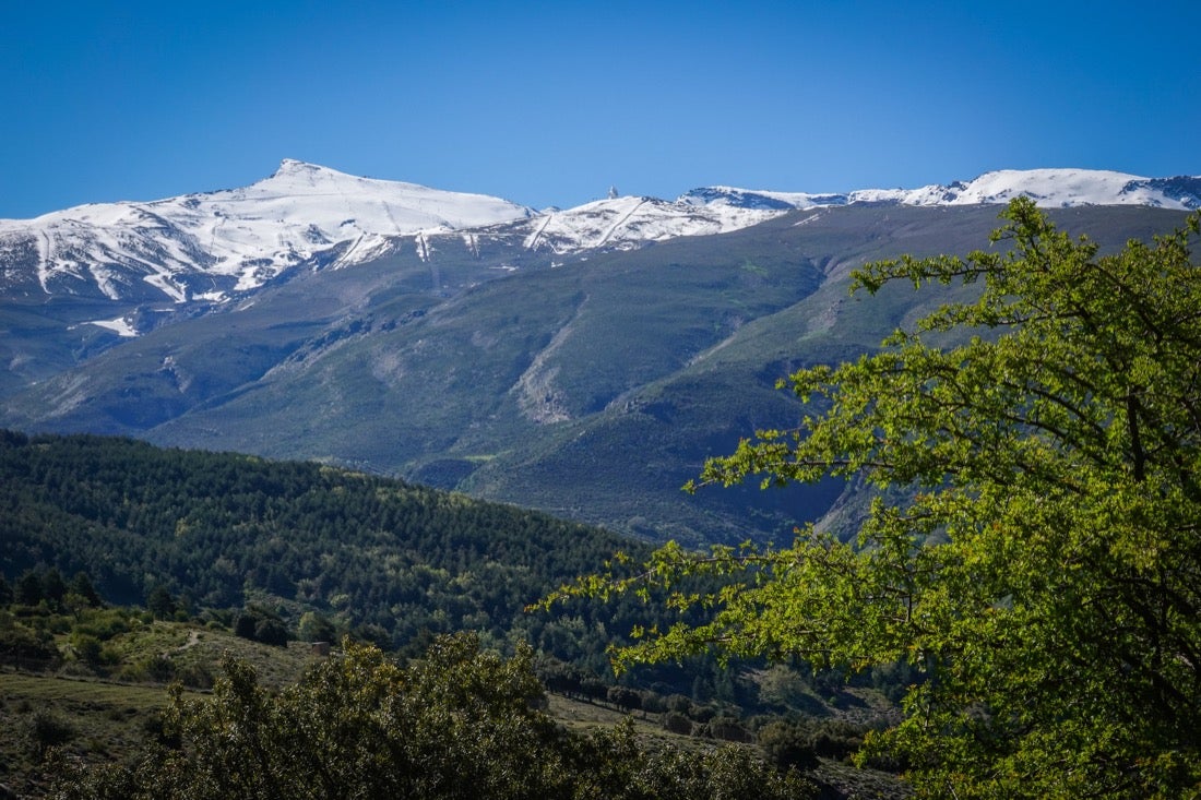 Inusuales mágenes de la estación en pleno estado de alarma