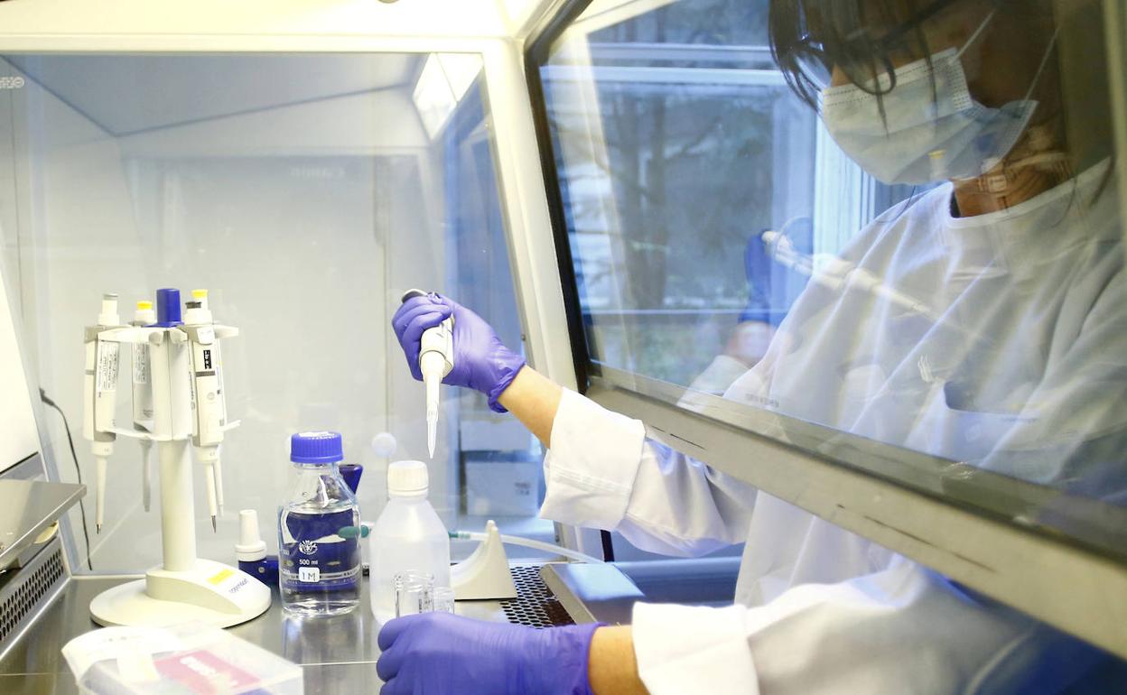 El primer ensayo en humanos de una vacuna contra el coronavirus descubre que es segura y genera respuesta inmune