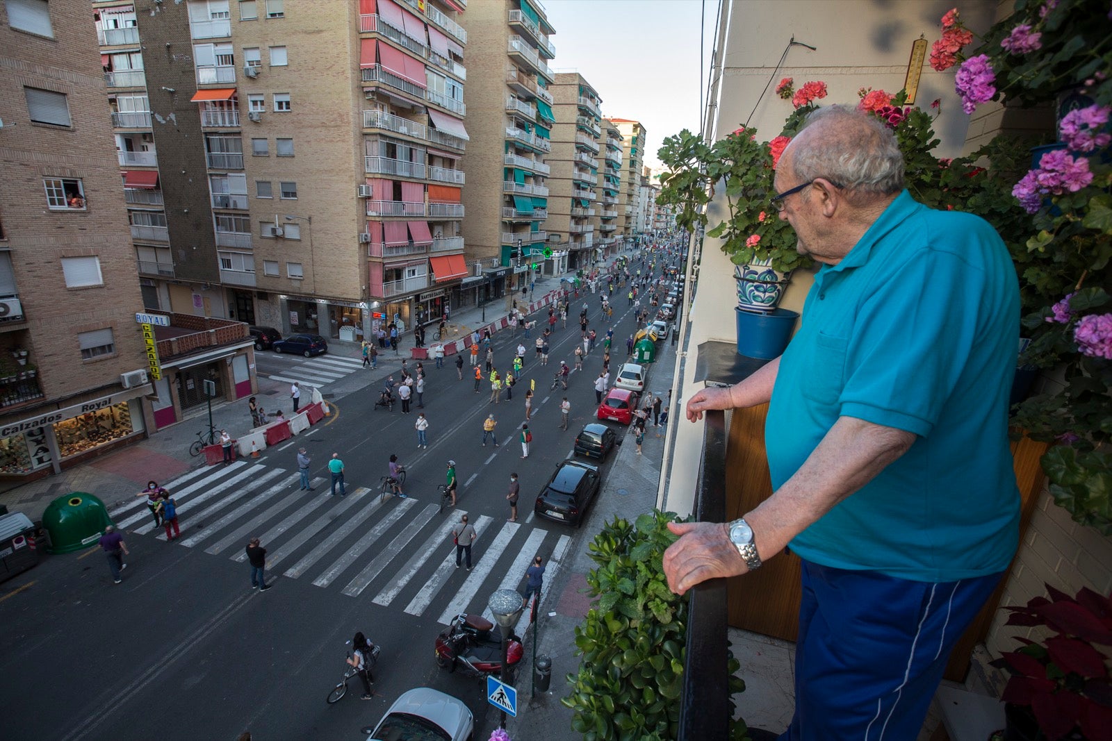 Decenas de personas protestan contra la decisión del Ayuntamiento de talar los árboles de la calle Palencia