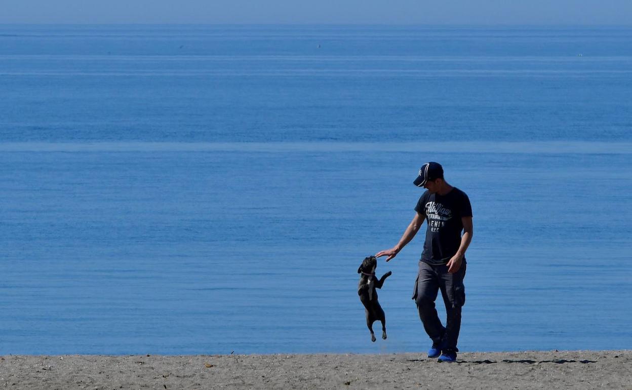 Crisis del coronavirus en Almería | Una patrulla de 660 vigilantes será la que controle los aforos y las distancias en las playas