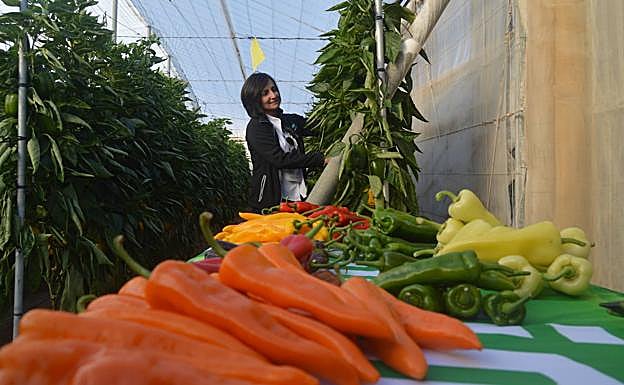 La Covid-19 aumentará la demanda de alimentos saludables de Almería
