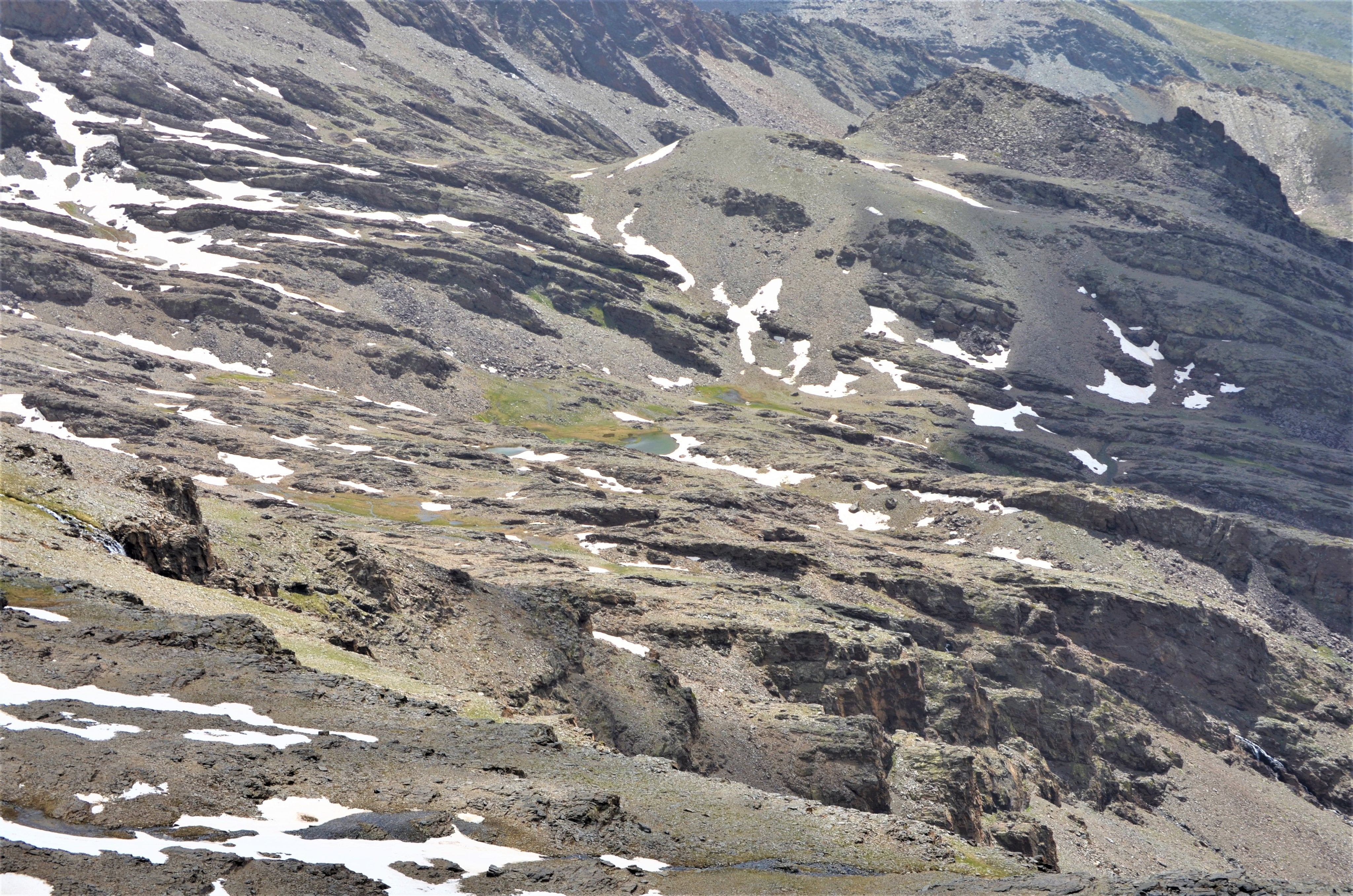 La asociación 'Amigos de Sierra Nevada' ha captado el deshielo del parque natural en los siguientes enclaves: laguna de Aguas Verdes, lagunillos del Púlpito, lagunillos de la Virgen y de la Ermita, Laguna-embalse de las Yeguas y Chorreras Negras