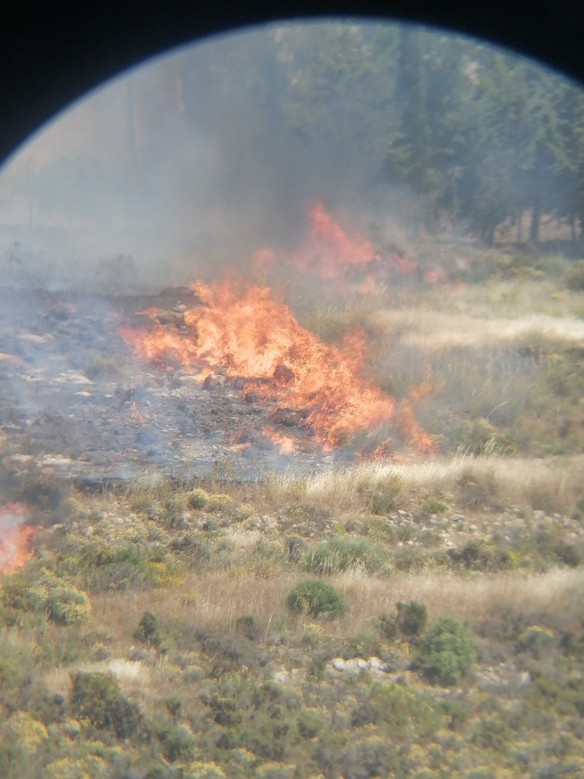 El incendio ha sido declarado pasadas las 16 horas
