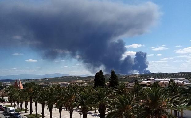 Vista del incendio desde Bailén. 