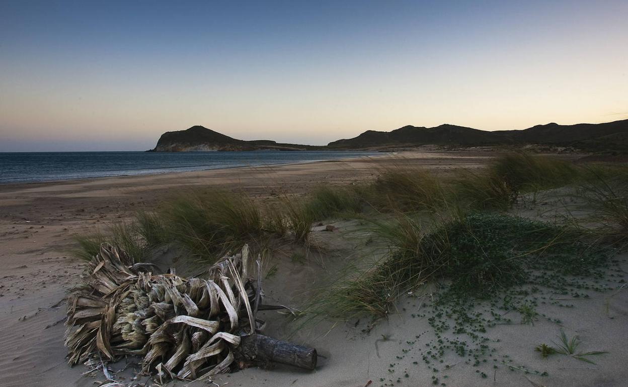 Genoveses, una bahía virgen emblema de la naturaleza salvaje del Cabo de Gata, en Almería, 