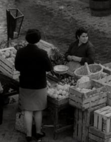Imagen secundaria 2 - Plaza Larga (1 y 3) y calle de paso, en Elvira. 