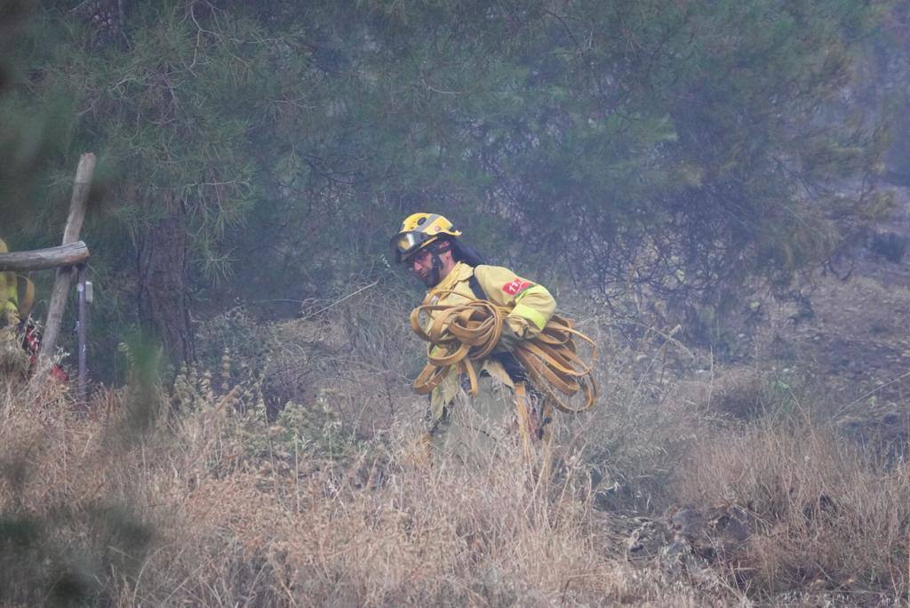 La evolución del fuego, según fuentes del Infoca, es favorable