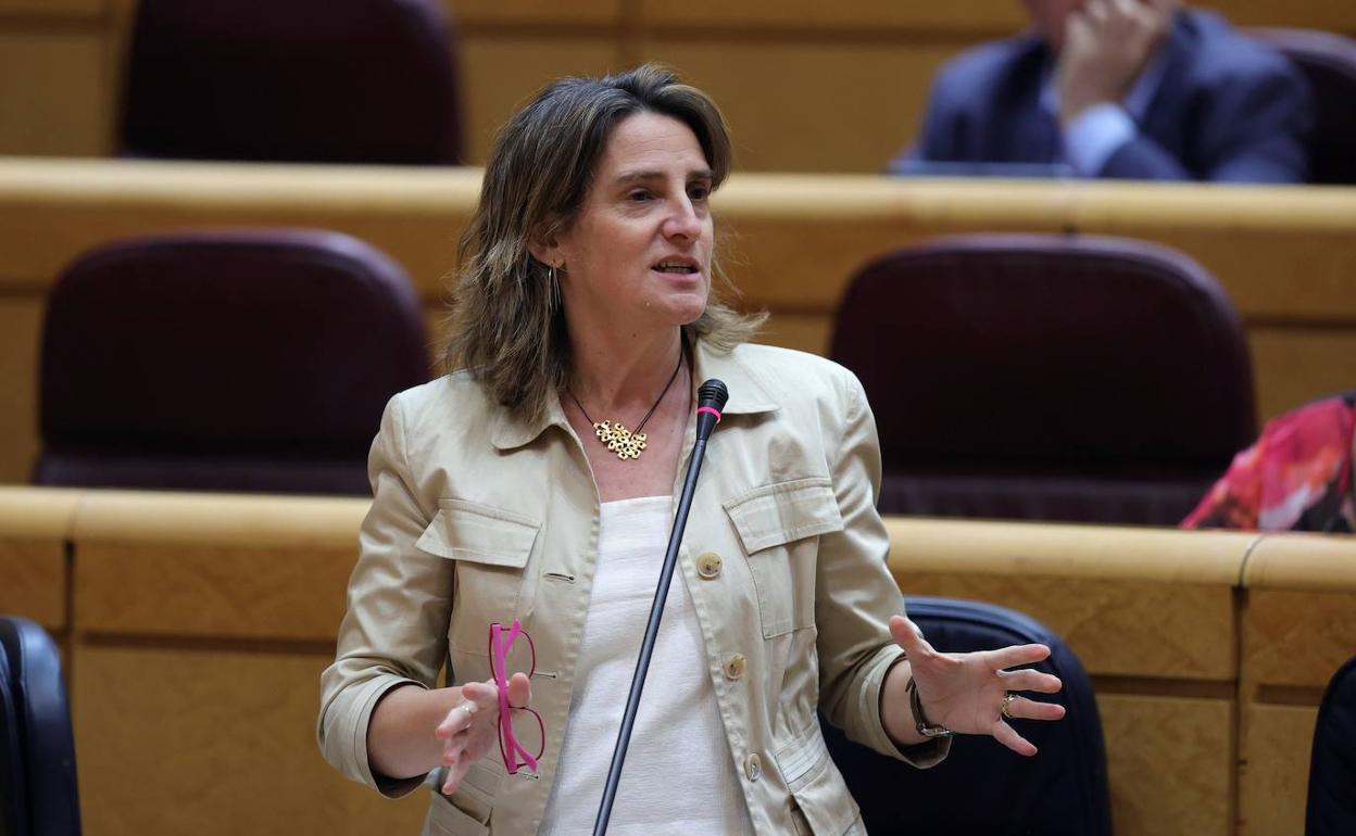 Teresa Ribera, ministra de Transición Ecológica y Reto Demográfico y vicepresidenta del Gobierno. 