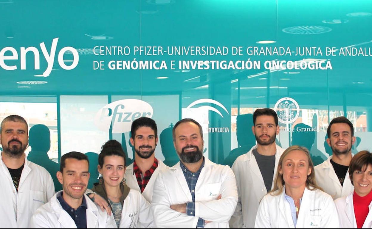 Científicos de la UGR descubren una nueva mutación que promueve el desarrollo tumoral