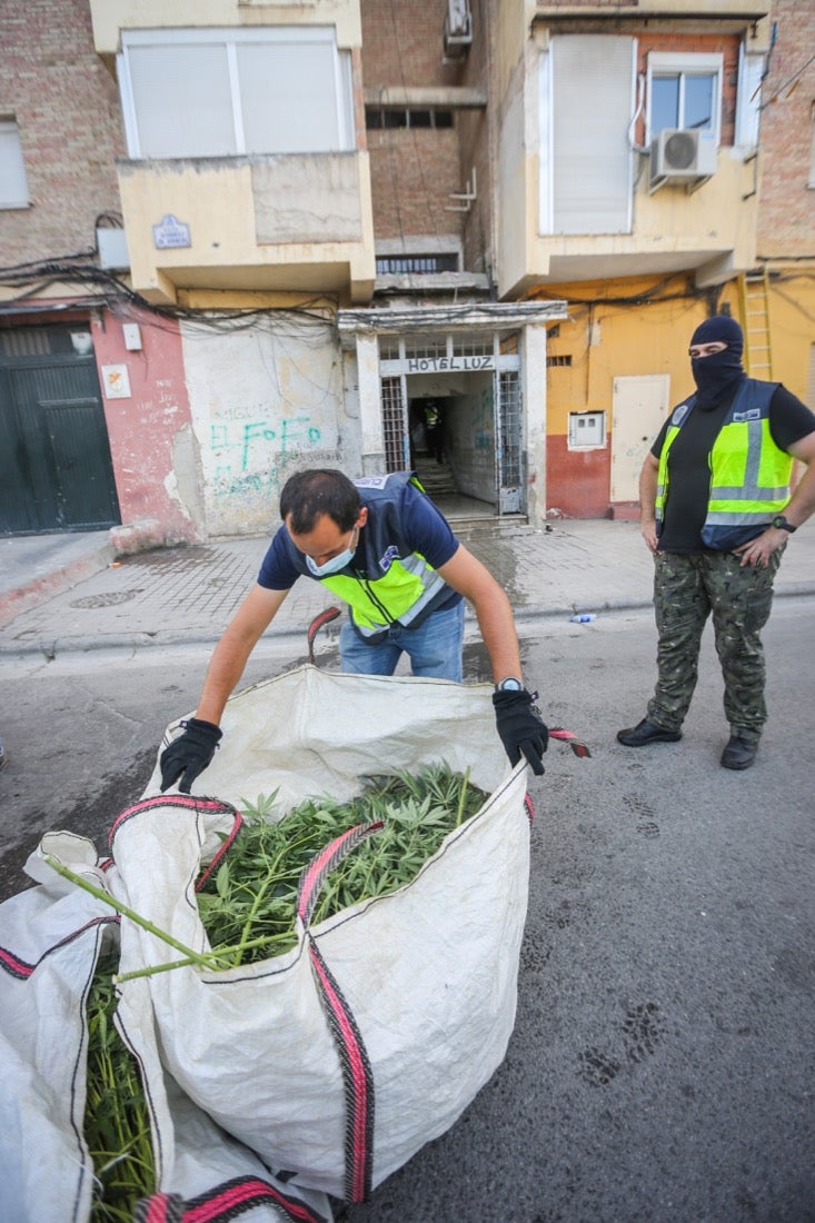 Policía Nacional ha registrado 36 viviendas y ha encontrado centenares de plantas de marihuana