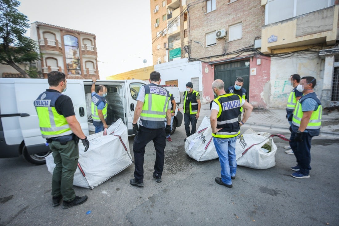 Policía Nacional ha registrado 36 viviendas y ha encontrado centenares de plantas de marihuana