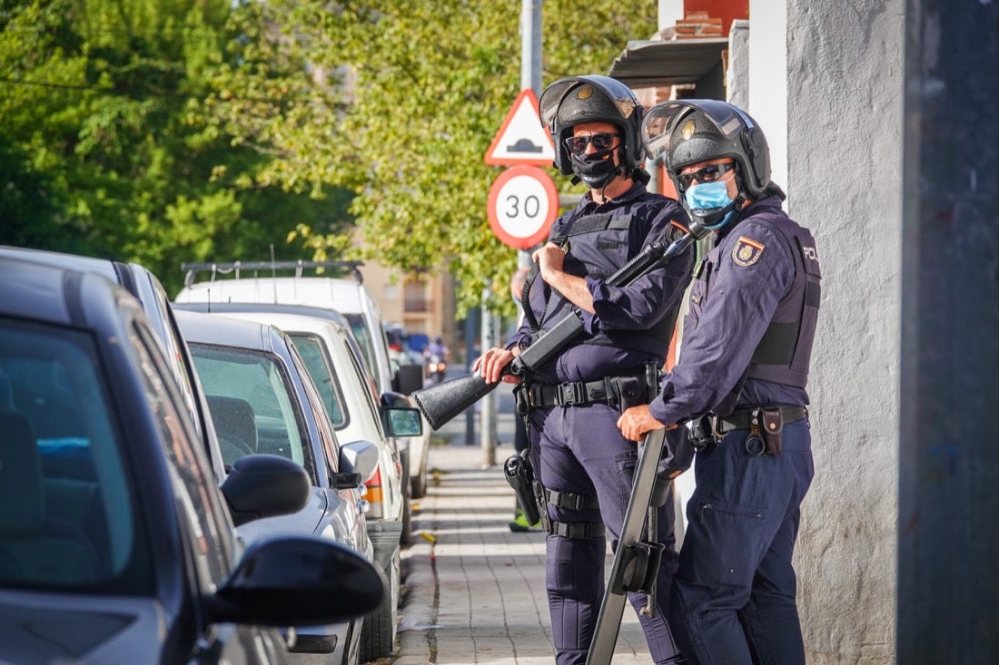 Policía Nacional ha registrado 36 viviendas y ha encontrado centenares de plantas de marihuana