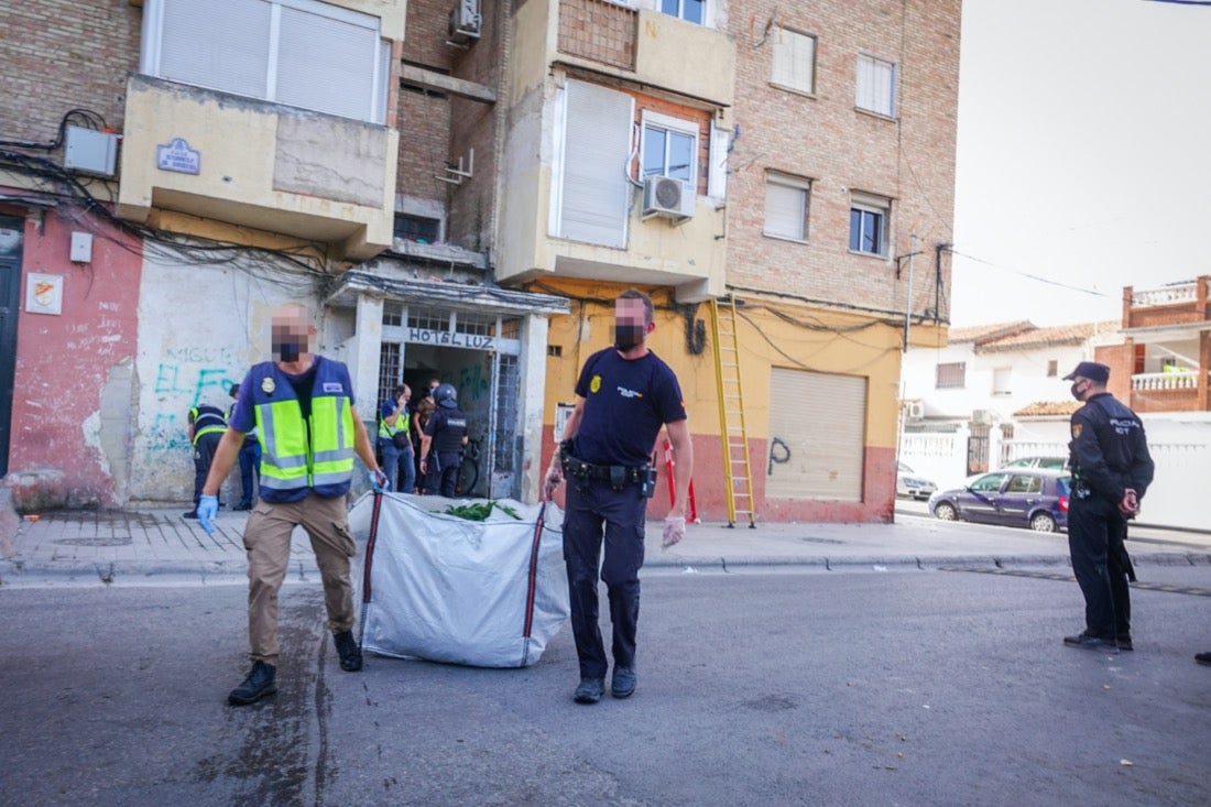 Policía Nacional ha registrado 36 viviendas y ha encontrado centenares de plantas de marihuana