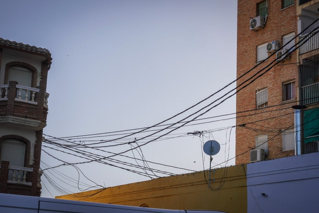 Policía Nacional ha registrado 36 viviendas y ha encontrado centenares de plantas de marihuana