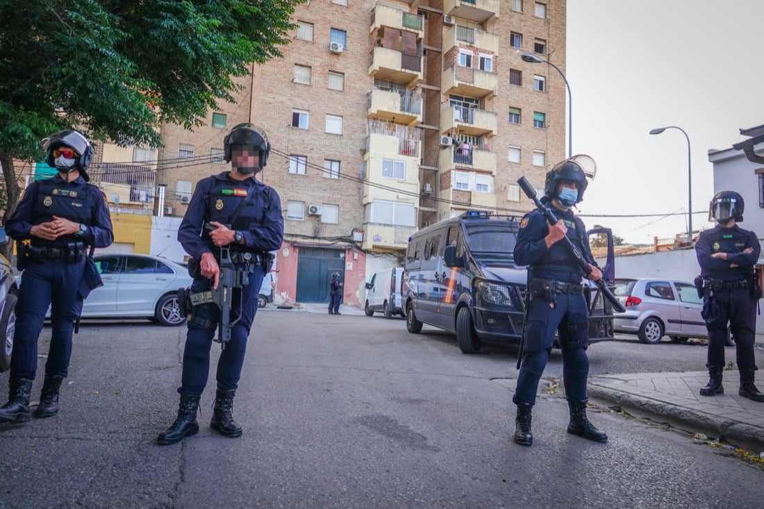 Policía Nacional ha registrado 36 viviendas y ha encontrado centenares de plantas de marihuana