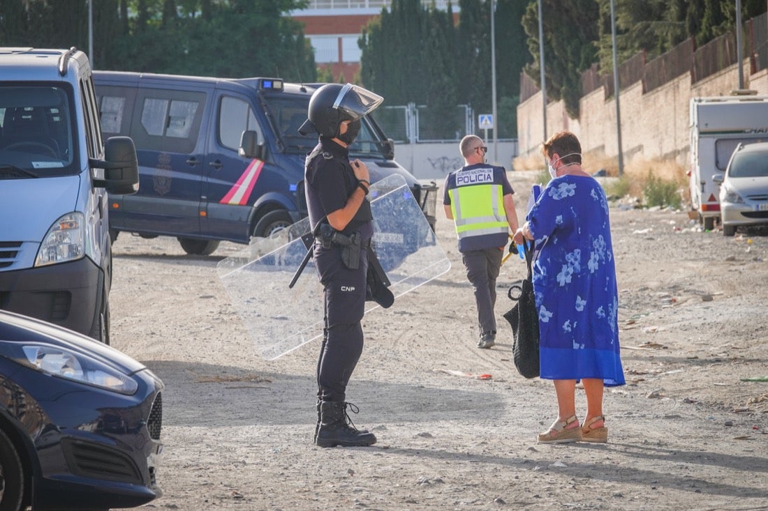 Policía Nacional ha registrado 36 viviendas y ha encontrado centenares de plantas de marihuana