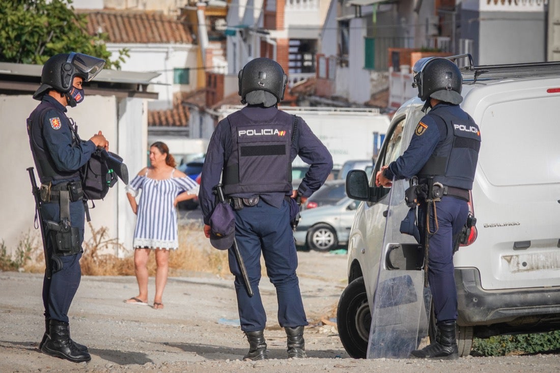 Policía Nacional ha registrado 36 viviendas y ha encontrado centenares de plantas de marihuana